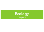Chapter 3 Ecology Notes