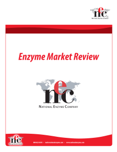 Enzyme Market Review