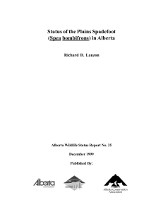 Status of the Plains Spadefoot in Alberta