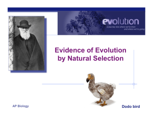 2. Ch 22 Evolution Evidence