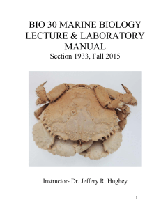bio 30 marine biology lecture manual