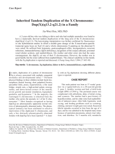 Inherited Tandem Duplication of the X Chromosome: Dup(X)(q13.2