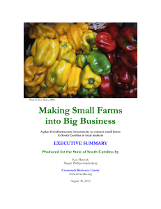 Small Farms Big Business Study - Palmetto Agribusiness Council