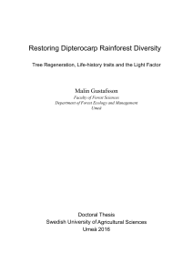 Restoring Dipterocarp Rainforest Diversity