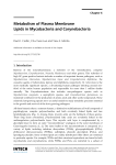 Metabolism of Plasma Membrane Lipids in