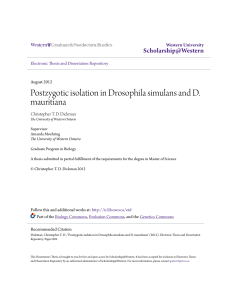 Postzygotic isolation in Drosophila simulans and D. mauritiana