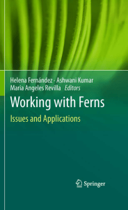 Working with Ferns: Issues and Applications