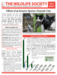 Effects of an Invasive Species: Domestic Cats