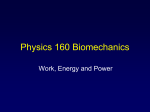 Physics 160 Biomechanics