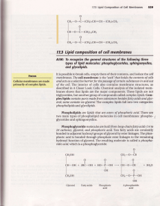 lq 17.5 Lipid composition of cell membrones