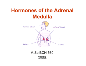 Hormones of the Adrenal Medulla
