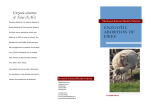 ENZOOTIC ABORTION OF EWES Enzootic abortion of Ewes (EAE)