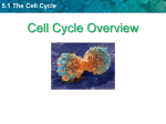 5.1 The Cell Cycle