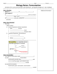 Biology Notes: Fermentation