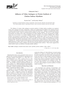 Influence of Valine Analogues on Protein Synthesis of Chicken