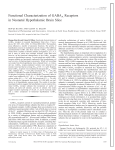 Functional Characterization of GABAA Receptors in Neonatal