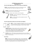 CANTARÉ, Latin American Music INSTRUMENT LIST From the