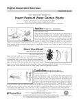 Insect Pests of Water Garden Plants