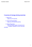 3 sources of energy during excercise