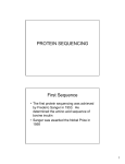 PROTEIN SEQUENCING First Sequence