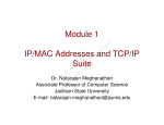Module 1 IP/MAC Addresses and TCP/IP Suite