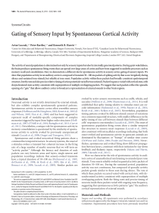 Gating of Sensory Input by Spontaneous Cortical Activity