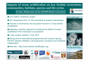 Impacts of ocean acidification on key benthic ecosystems
