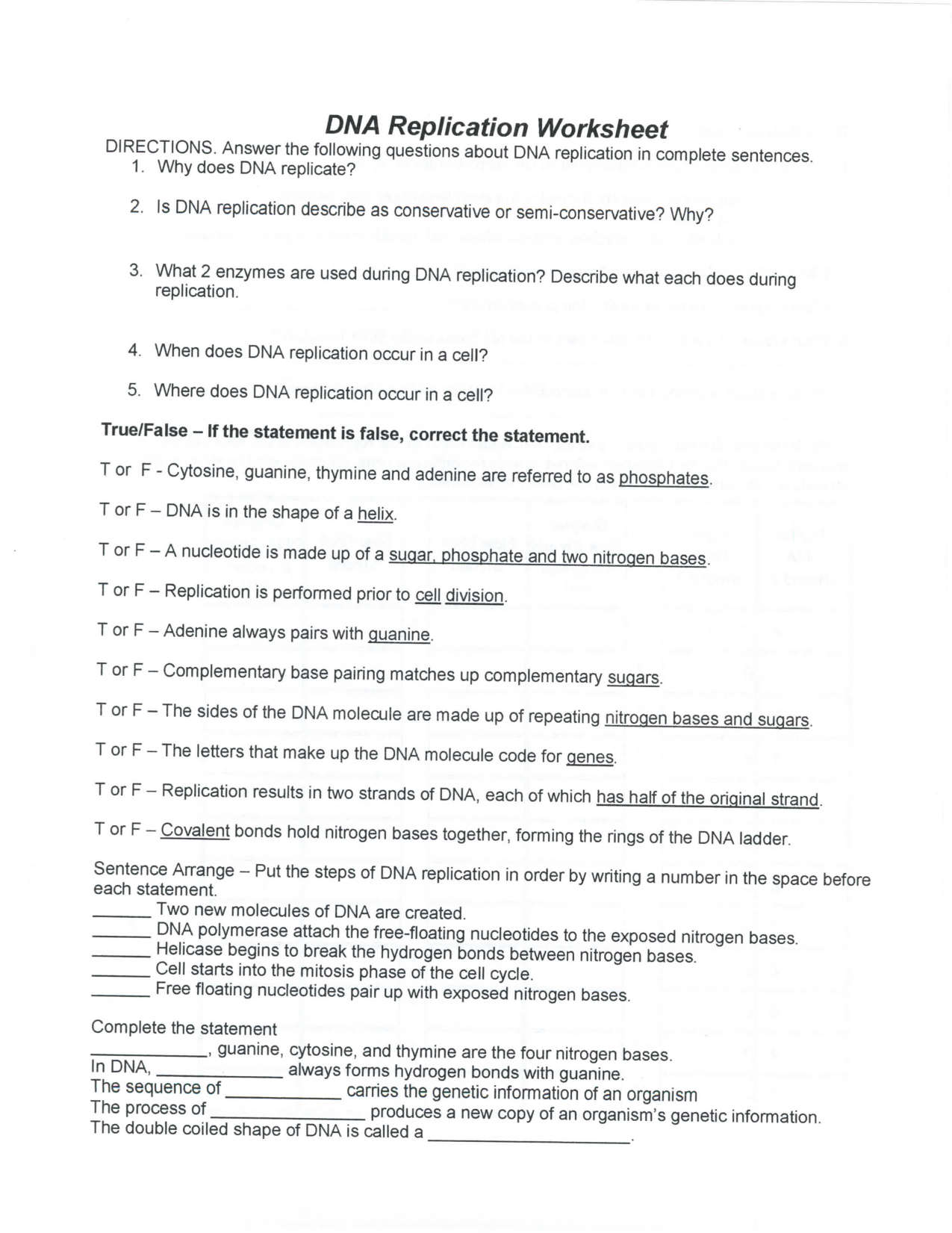 Dna Replication Worksheet Answers - Promotiontablecovers Throughout Dna Replication Worksheet Key