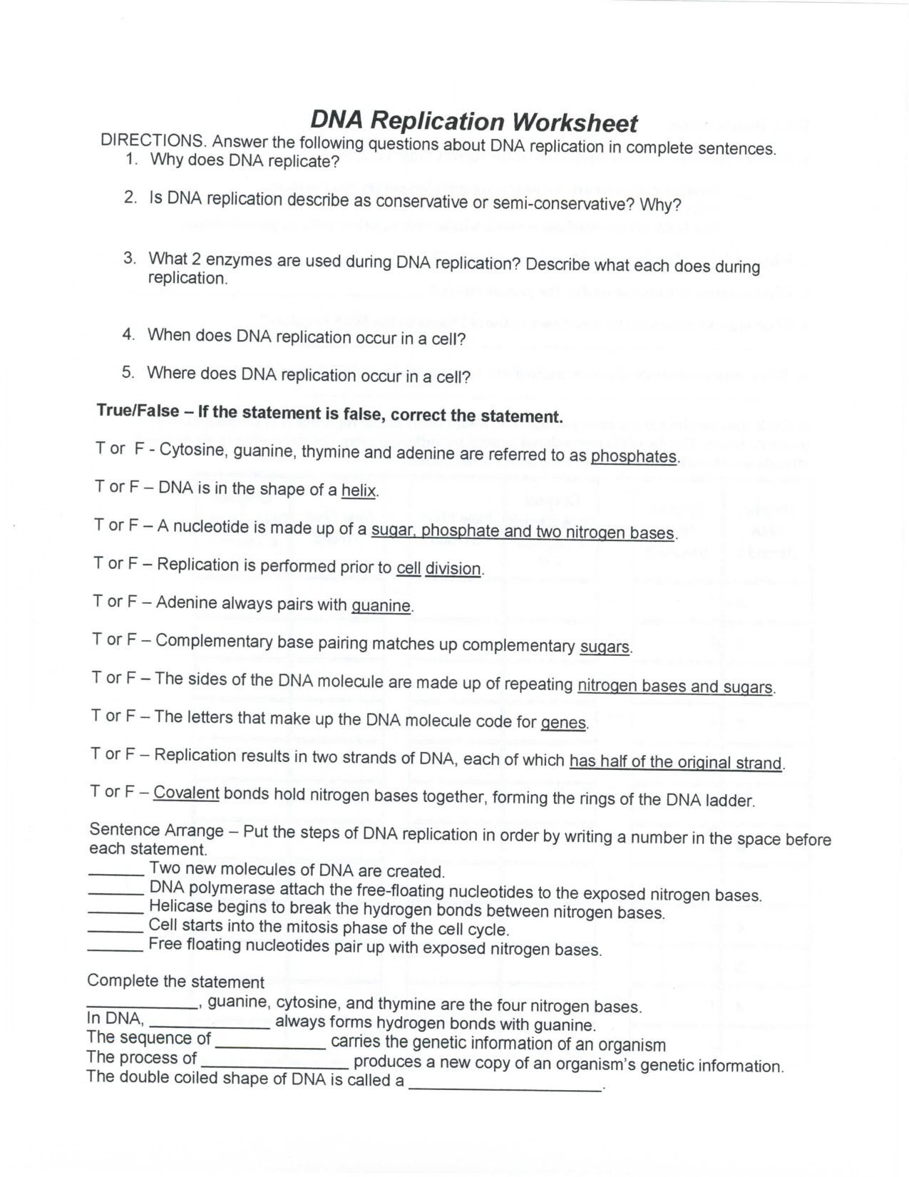 DNA Replication Worksheet Regarding Dna Replication Worksheet Key