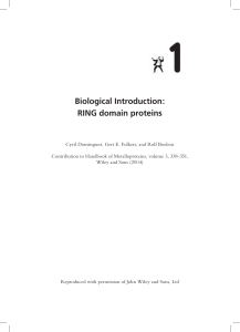 Chapter 1: Biological Introduction: RING domain proteins