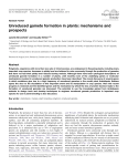 Unreduced gamete formation in plants