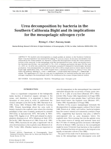 Urea decomposition by bacteria in the Southern California Bight and