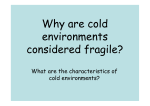 Why are cold environments considered fragile lesson 6