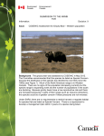 COSEWIC Assessment for Grizzly Bear