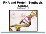 RNA and Protein Synthesis