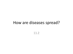 How are diseases spread?