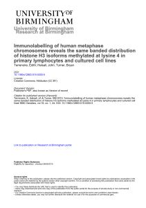 University of Birmingham Immunolabelling of human metaphase