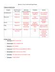 Bacteria, Virus, Protist and Fungi Review I. General Classification