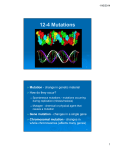 12-4 Mutations