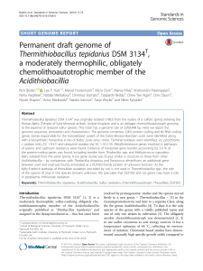 Permanent draft genome of Thermithiobaclillus tepidarius DSM