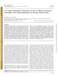 G1 Phase-Dependent Expression of Bcl