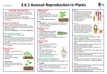 3.6.1 Asexual Reproduction in Plants