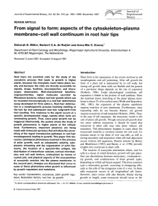 From signal to form: aspects of the cytoskeleton