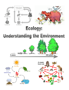 ecology culminating project