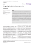 Plant grafting: Insights into tissue regeneration