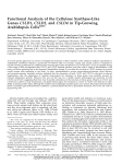 Functional Analysis of the Cellulose Synthase