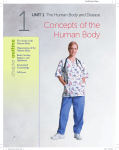 Concepts of the Human Body
