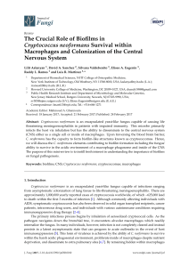 The Crucial Role of Biofilms in Cryptococcus neoformans Survival