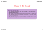 08 - Cell Diversity