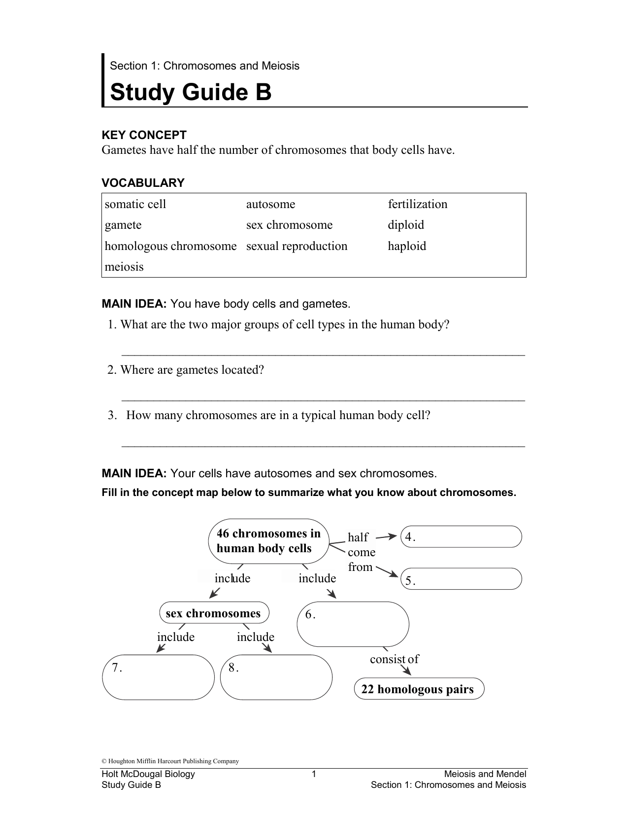 Modern Bio Study Guide Answers Collectorpassa